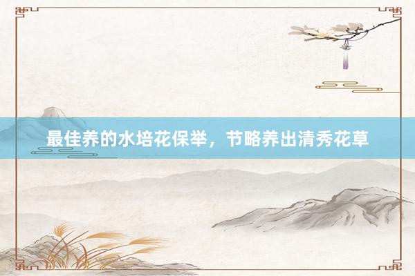 最佳养的水培花保举，节略养出清秀花草