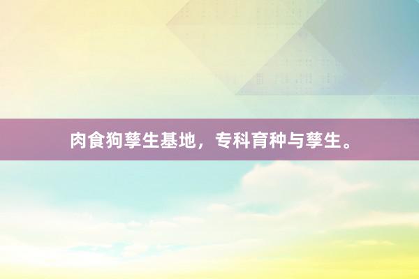 肉食狗孳生基地，专科育种与孳生。