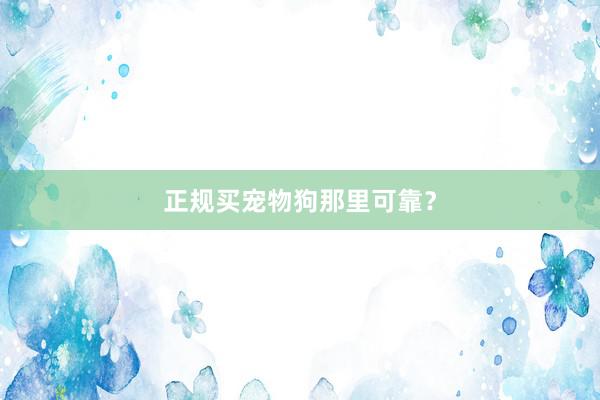 正规买宠物狗那里可靠？