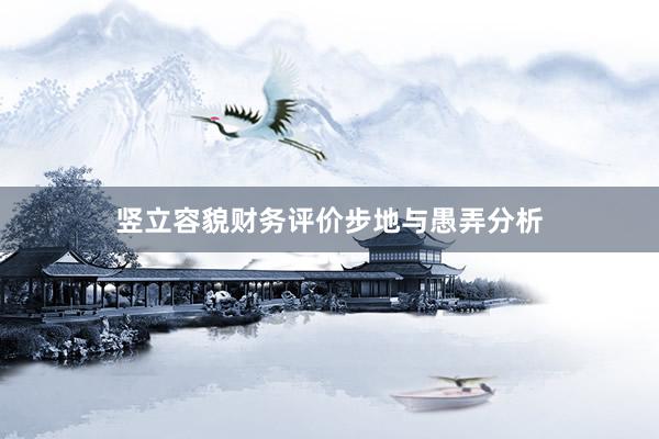 竖立容貌财务评价步地与愚弄分析